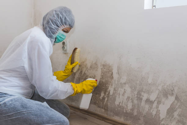 Asbestos and Lead Testing During Mold Inspection in Marked Tree, AR